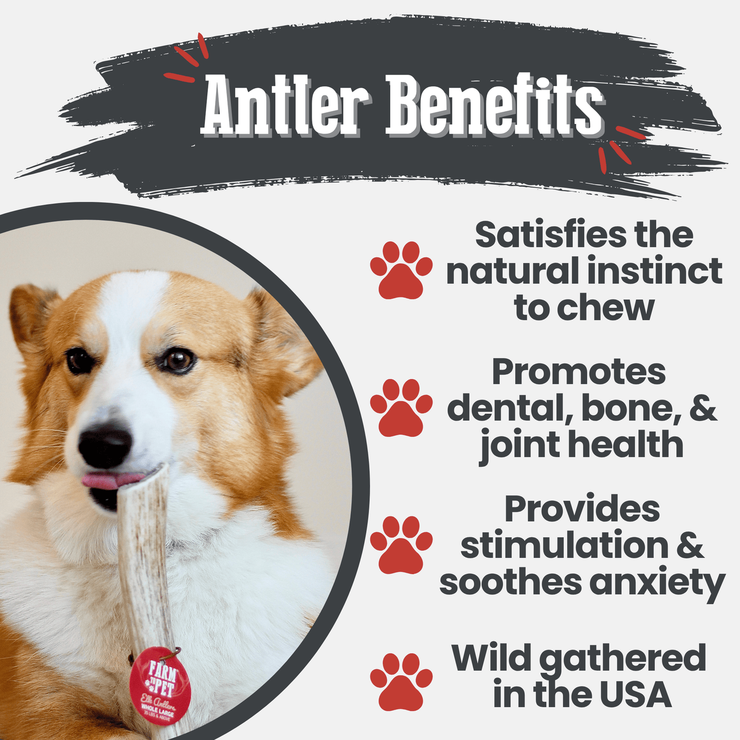 Farm to Pet - Elk Antler Dog Chews | All-Natural Whole and Split Elk Antler Chews for Dogs