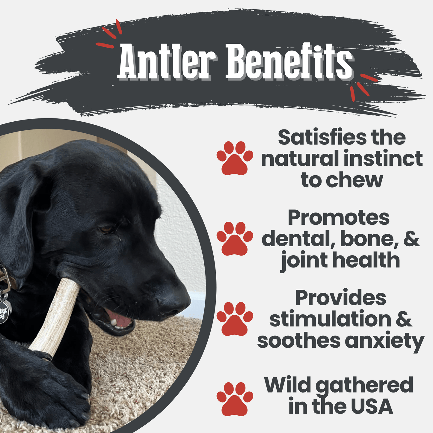 Farm to Pet - Elk Antler Dog Chews | All-Natural Whole and Split Elk Antler Chews for Dogs