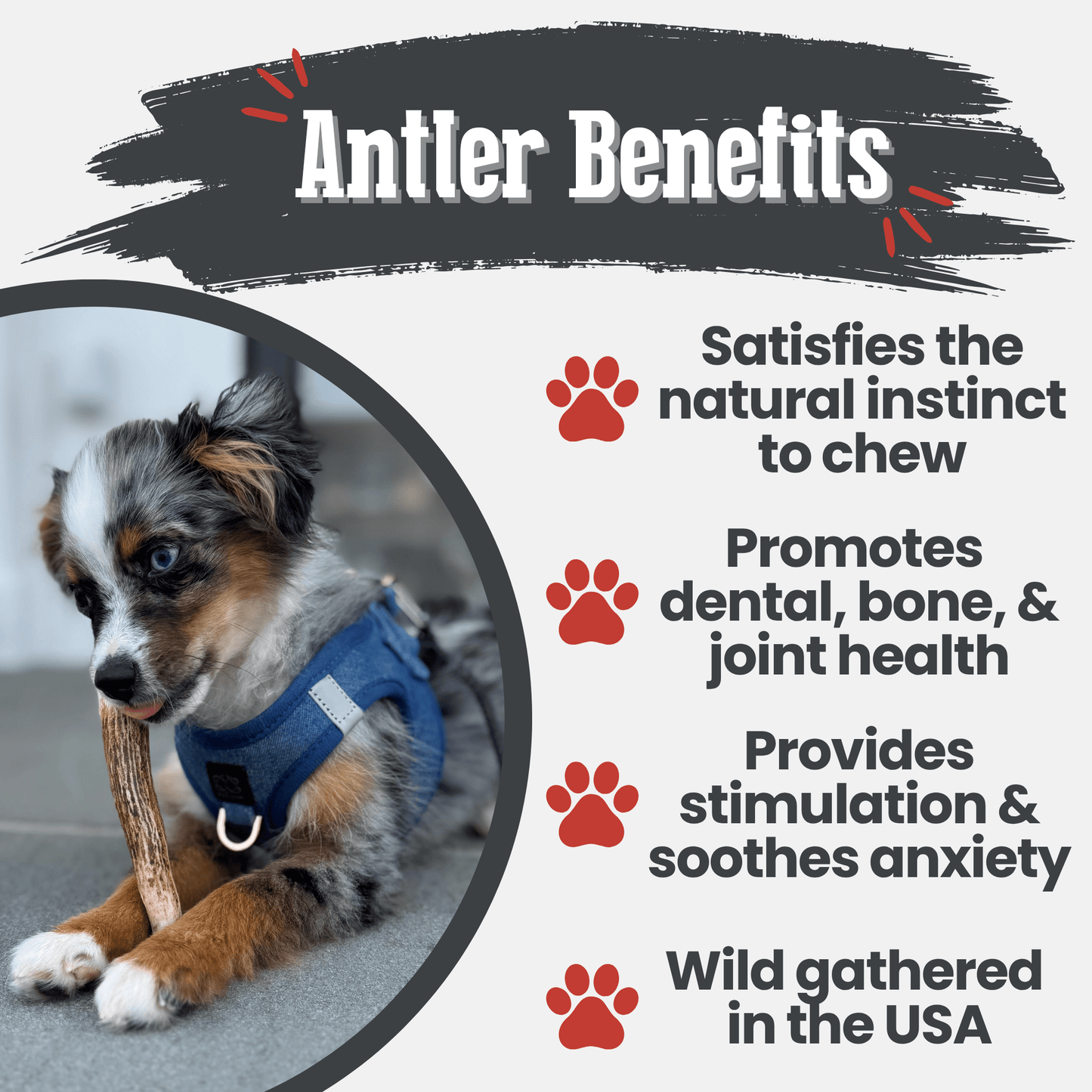 Farm to Pet - Elk Antler Dog Chews | All-Natural Whole and Split Elk Antler Chews for Dogs