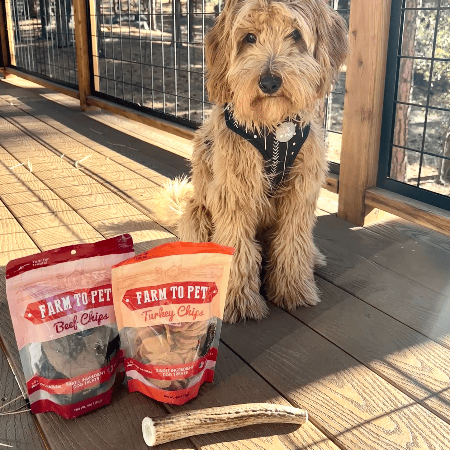 Farm to Pet - Reindeer Antler Dog Chews | Organic Chews for Dogs