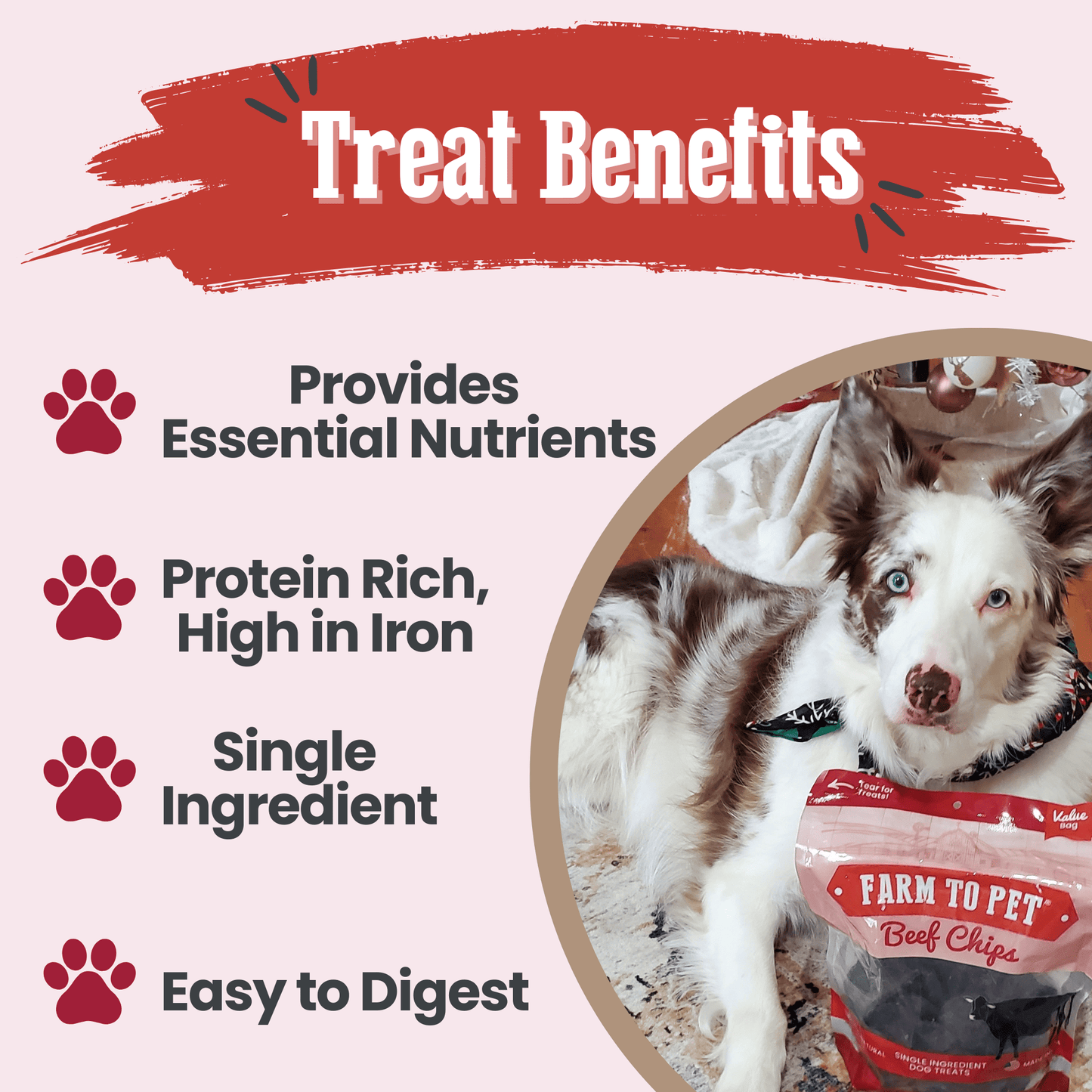 Farm To Pet - Beef Chips Dog Treats | Single-Ingredient Healthy Treats for Dogs