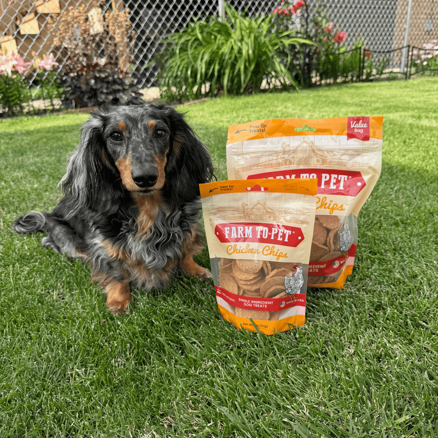 Farm to Pet - Chicken Chips for Dogs | All-Natural Single-Ingredient Dog Treats
