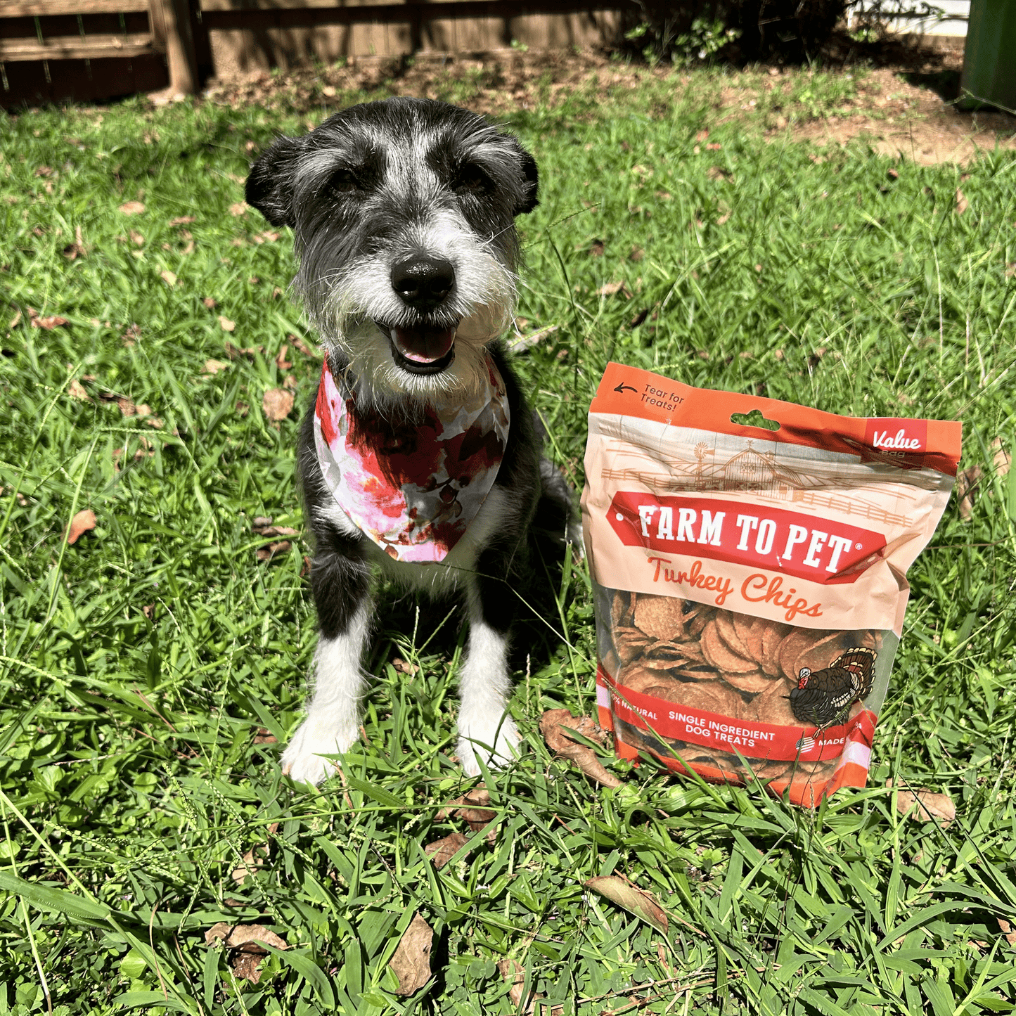 Farm to Pet - Turkey Chips for Dogs | All-Natural Single-Ingredient Healthy Dog Treats