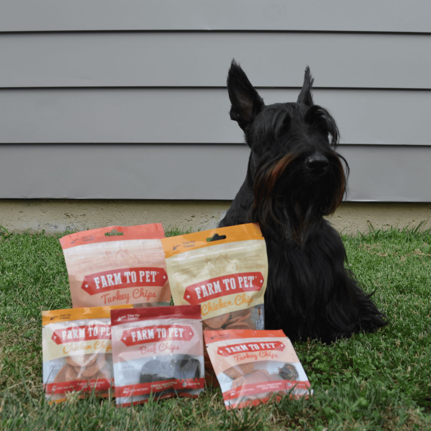 Farm to Pet - Puppy Packs 'n Snacks Dog Treat Starter Pack | Single-Ingredient Training Treats