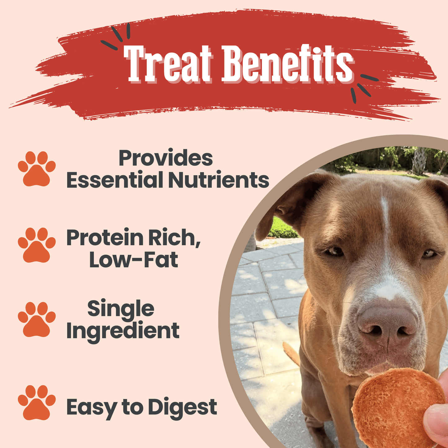 Farm to Pet - Turkey Chips for Dogs | All-Natural Single-Ingredient Healthy Dog Treats