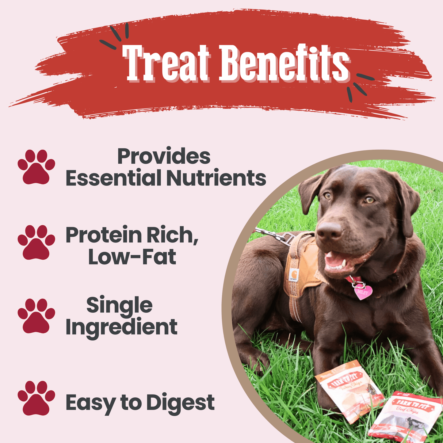 Farm to Pet - Puppy Packs 'n Snacks Dog Treat Starter Pack | Single-Ingredient Training Treats
