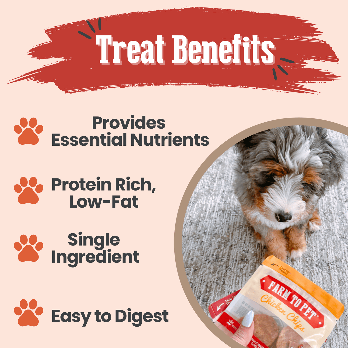 Farm to Pet - Puppy Packs 'n Snacks Dog Treat Starter Pack | Single-Ingredient Training Treats