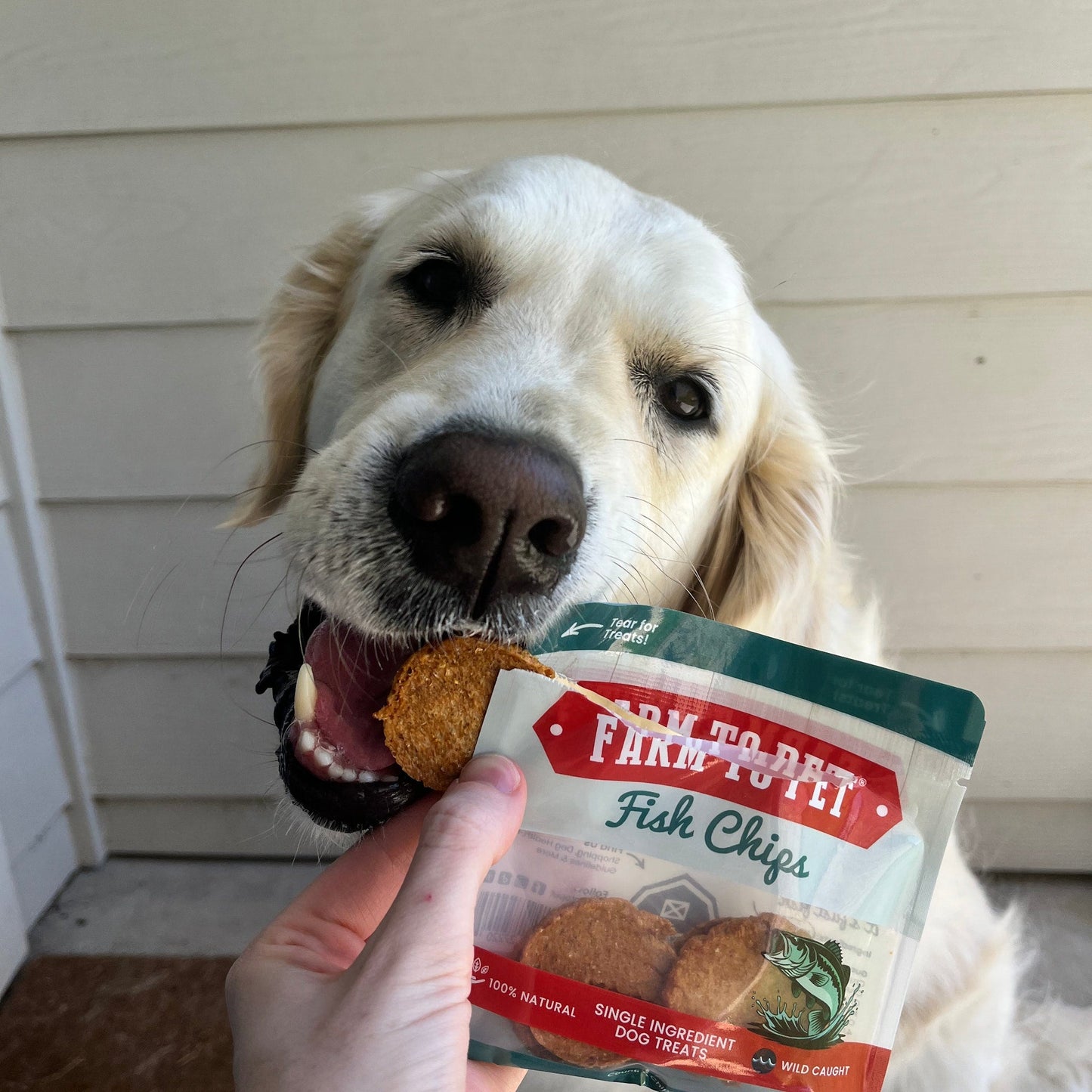 Farm to Pet - Snack Pack Dog Treat Sampler