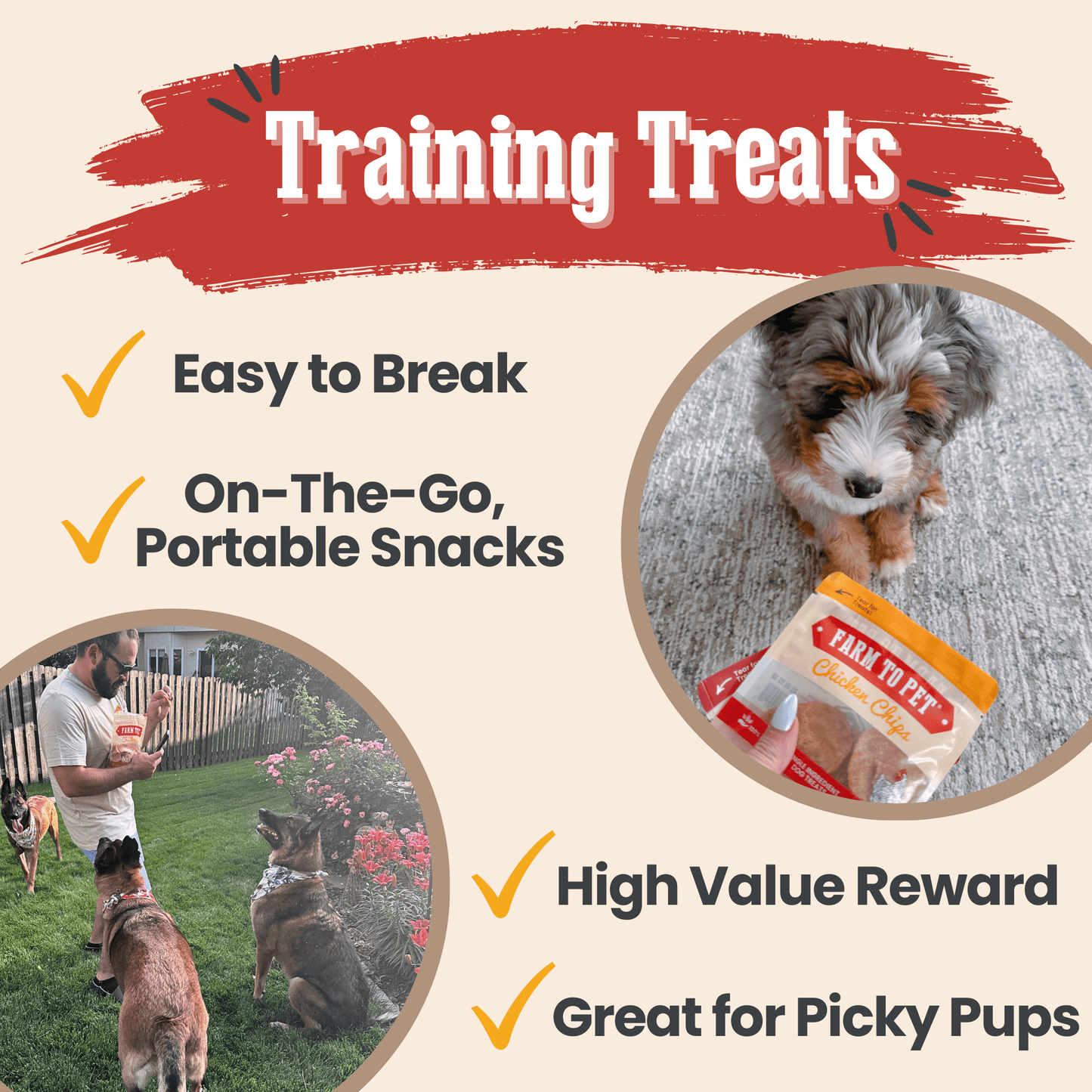 Farm to Pet - Snack Pack Dog Treat Sampler