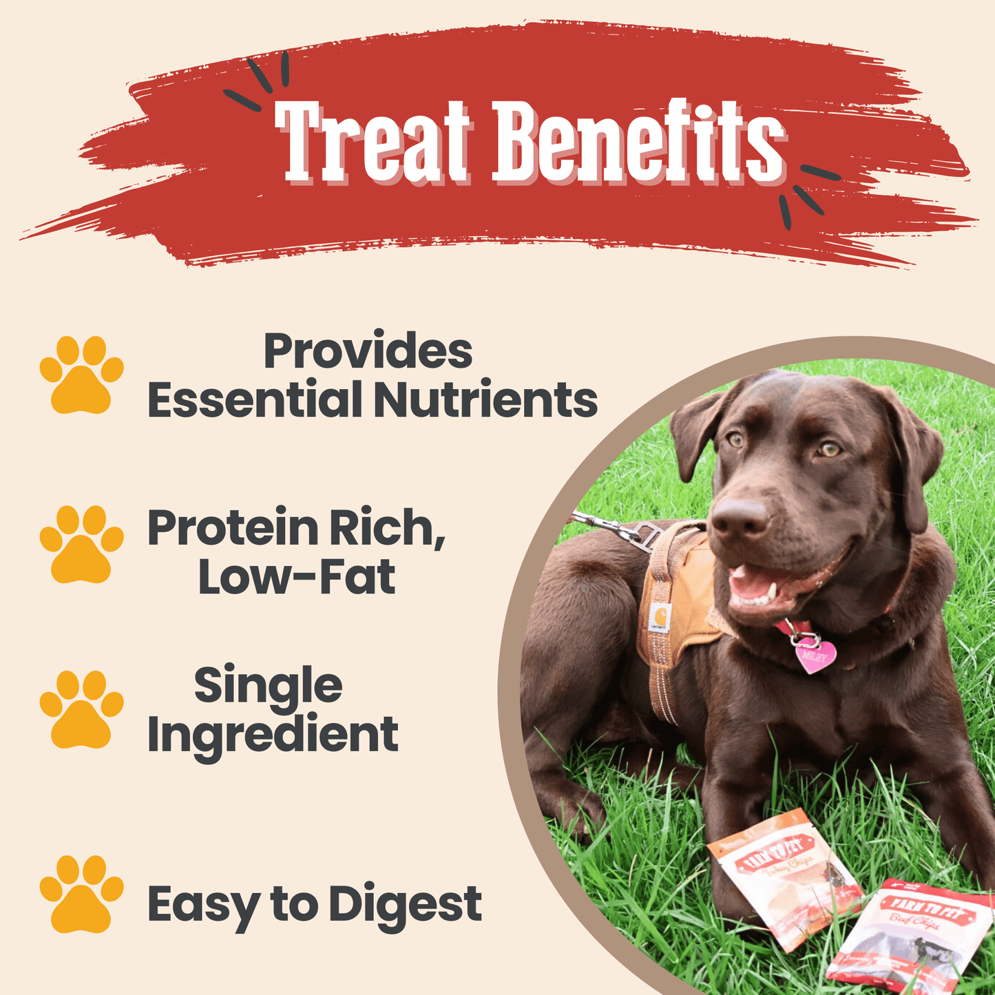 Farm to Pet - Snack Pack Dog Treat Sampler
