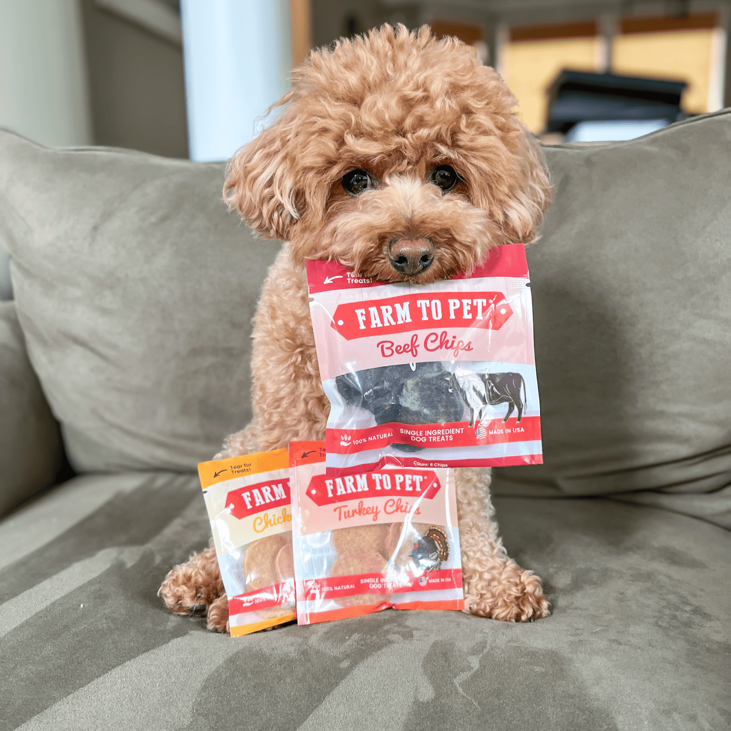 Farm to Pet - Snack Pack Dog Treat Sampler