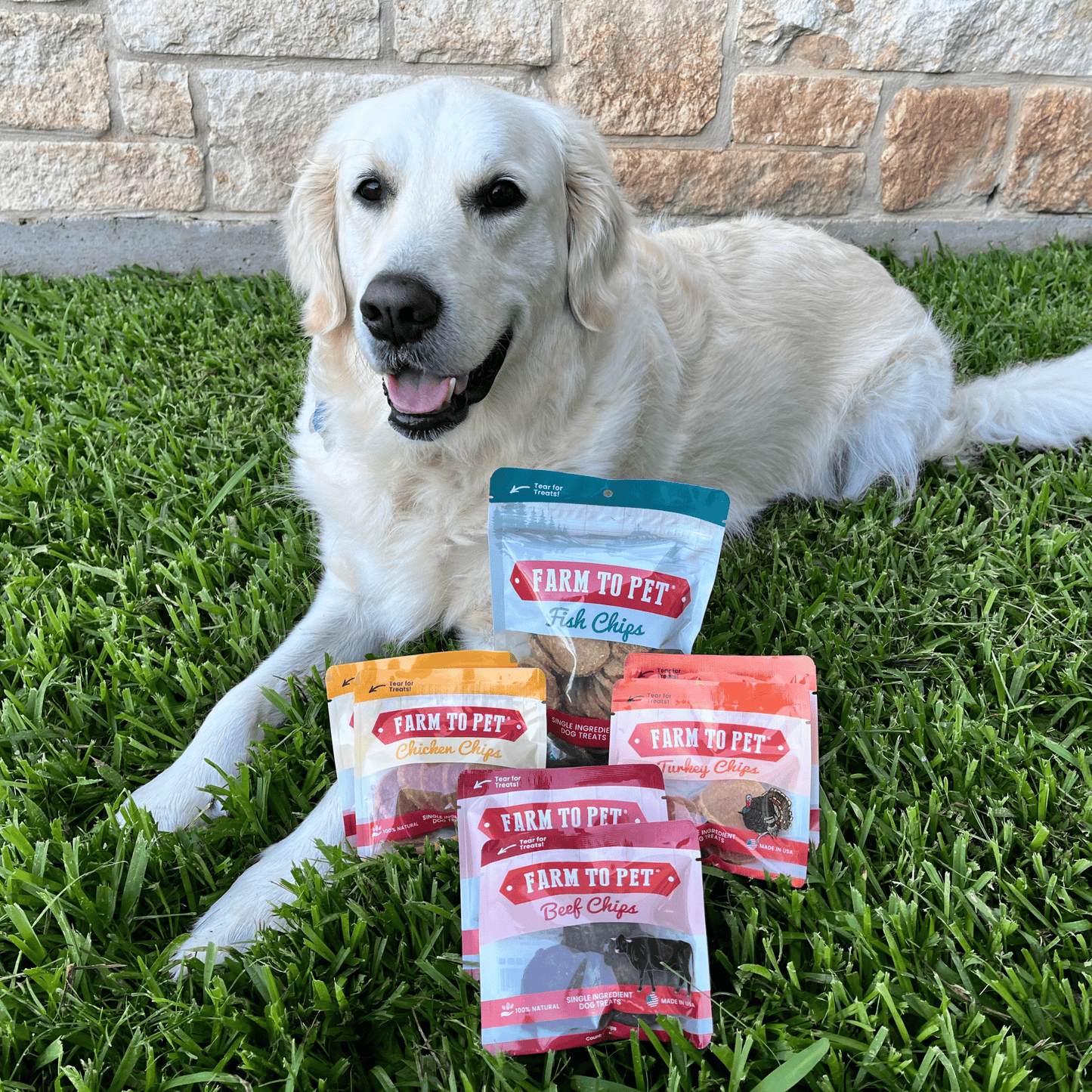 Farm to Pet - Puppy Packs 'n Snacks Dog Treat Starter Pack | Single-Ingredient Training Treats