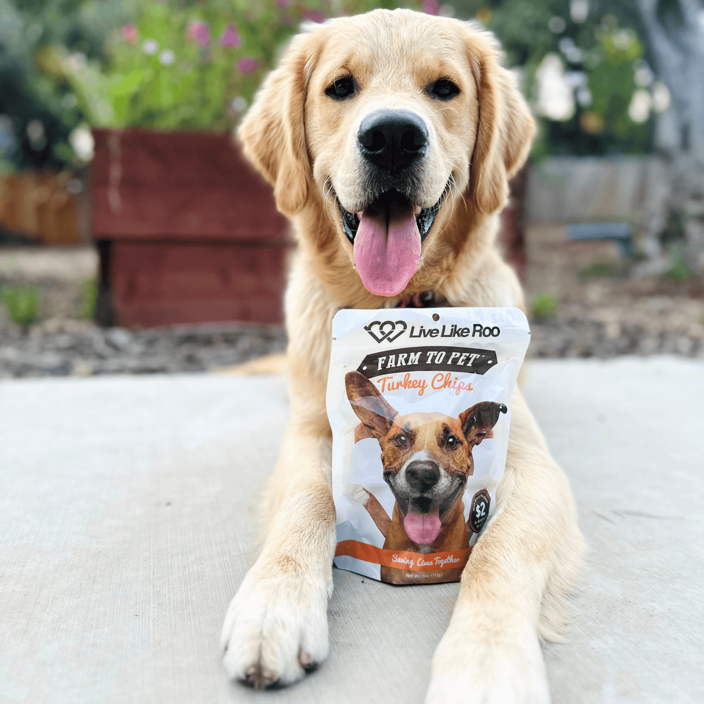 Farm to Pet - Live Like Roo Turkey Chips for Dogs | Dog Treats That Give Back