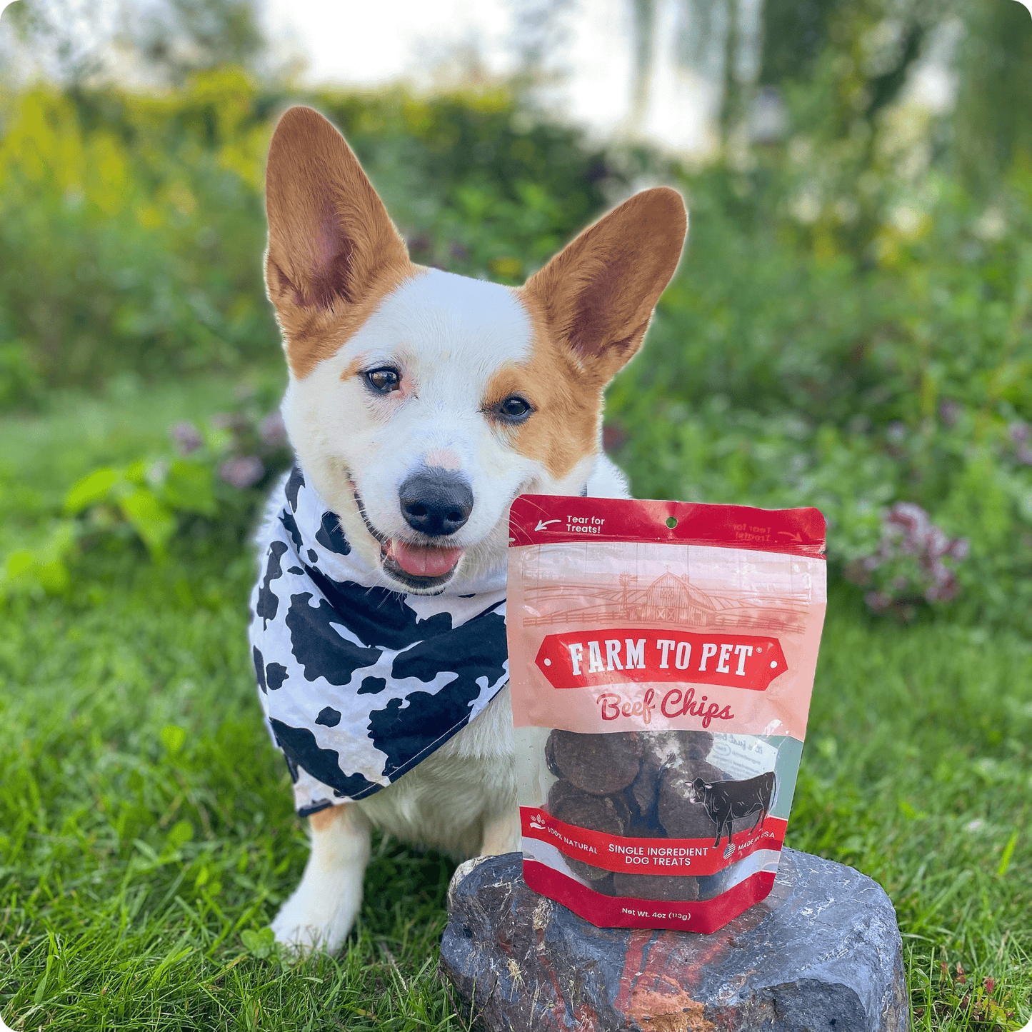 Farm To Pet - Beef Chips Dog Treats | Single-Ingredient Healthy Treats for Dogs