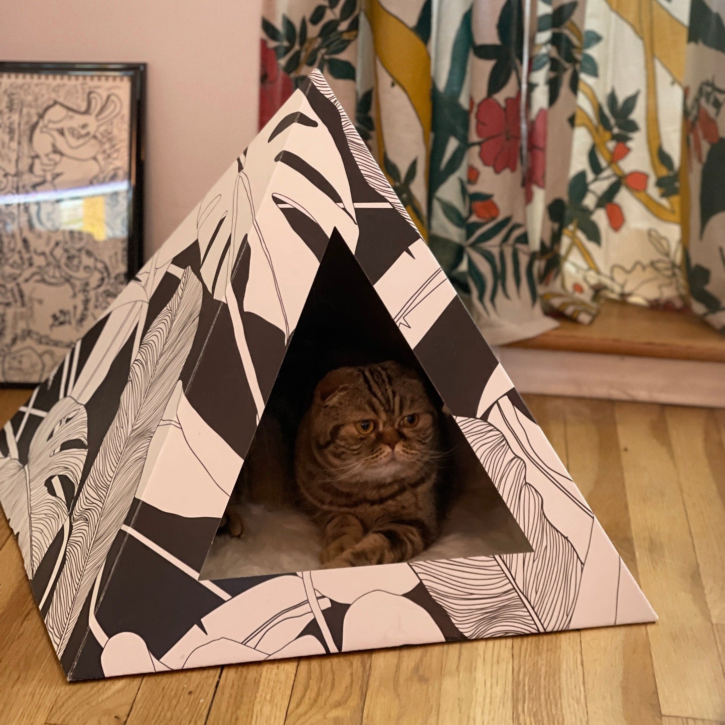 Kitty Kardboard 'Dark Paradise' Cardboard Cat Pyramid