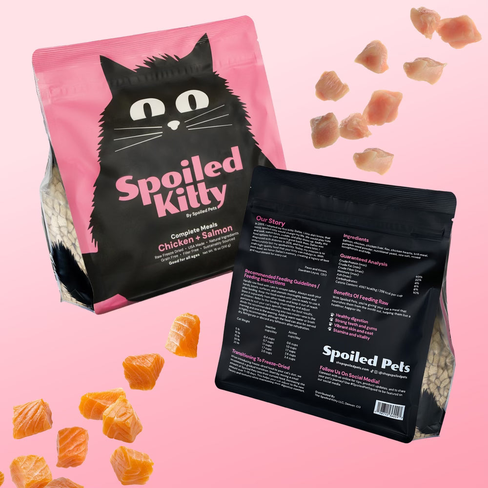 Spoiled Pets - Chicken and Salmon Balanced Bowl