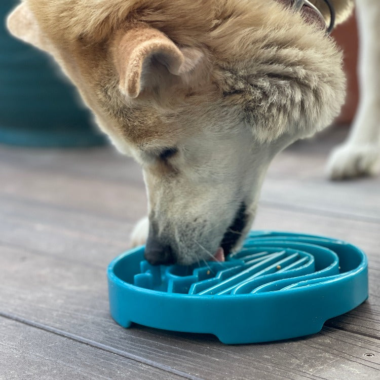 SodaPup Baja Design eTray - Shallow Slow Feeder Dog Bowl for Enrichment | USA Made