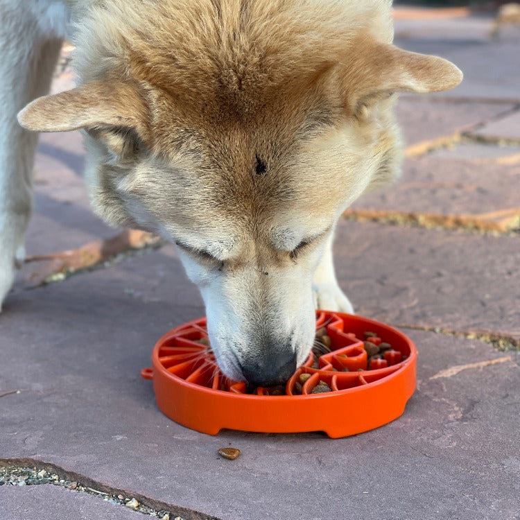 SodaPup Sun and Moon eTray - Shallow Slow Feeder Dog Bowl for Enrichment | USA Made