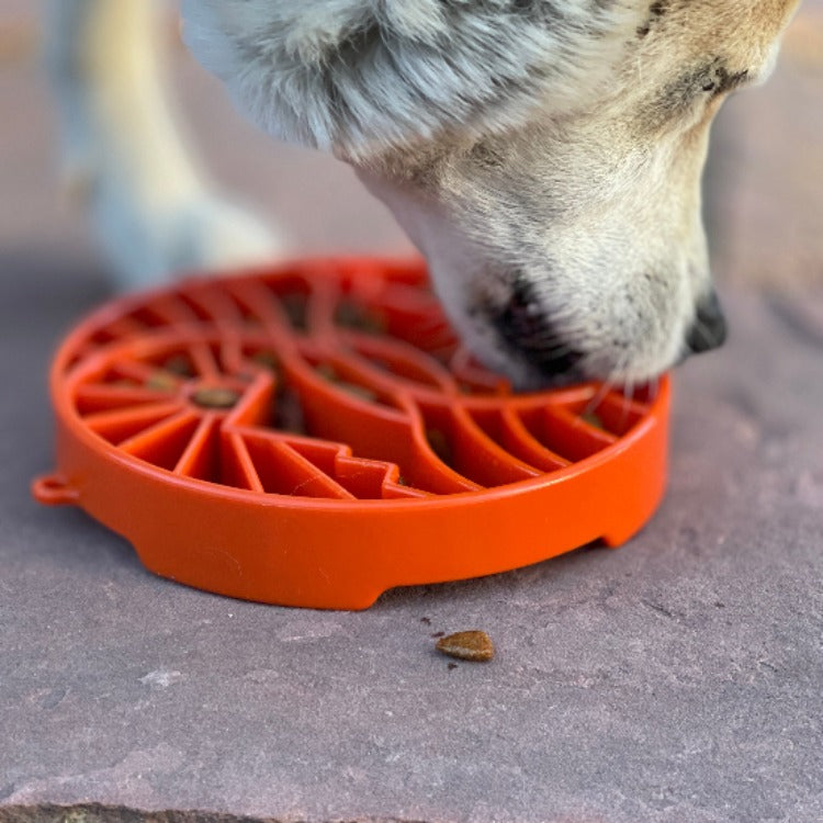 SodaPup Sun and Moon eTray - Shallow Slow Feeder Dog Bowl for Enrichment | USA Made