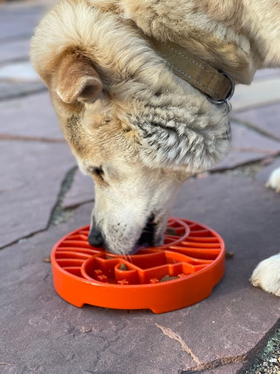 SodaPup Sun and Moon eTray - Shallow Slow Feeder Dog Bowl for Enrichment | USA Made