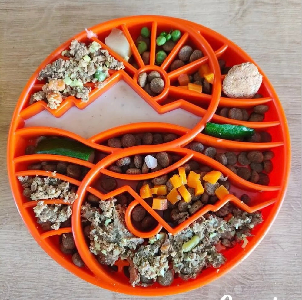 SodaPup Sun and Moon eTray - Shallow Slow Feeder Dog Bowl for Enrichment | USA Made
