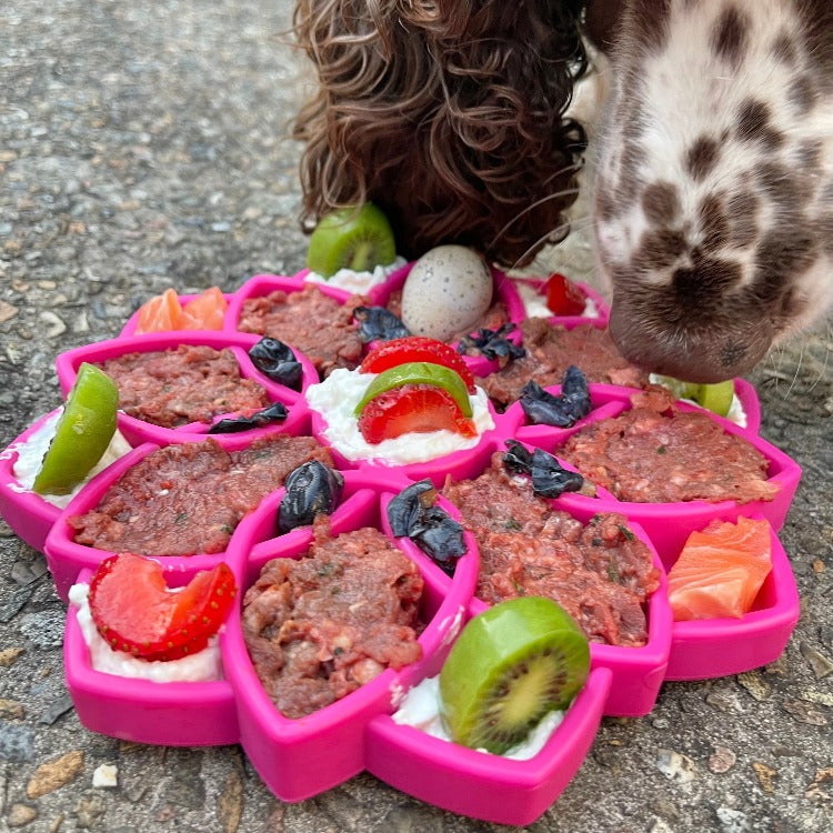 SodaPup Mandala eTray Shallow Slow Feeder Dog Bowl for Enrichment | USA Made