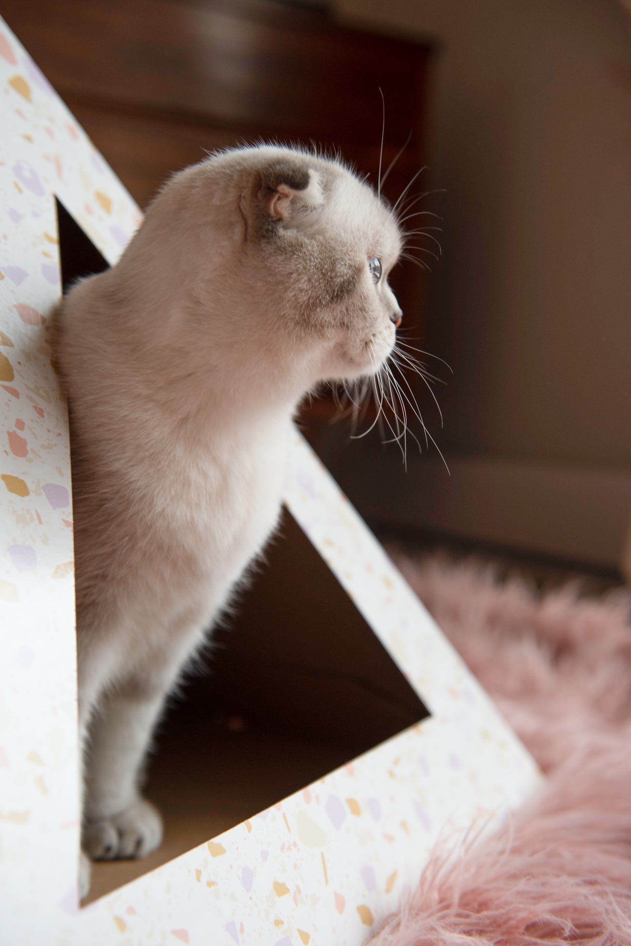 Kitty Kardboard 'Terrazzo' Cardboard Cat Pyramid