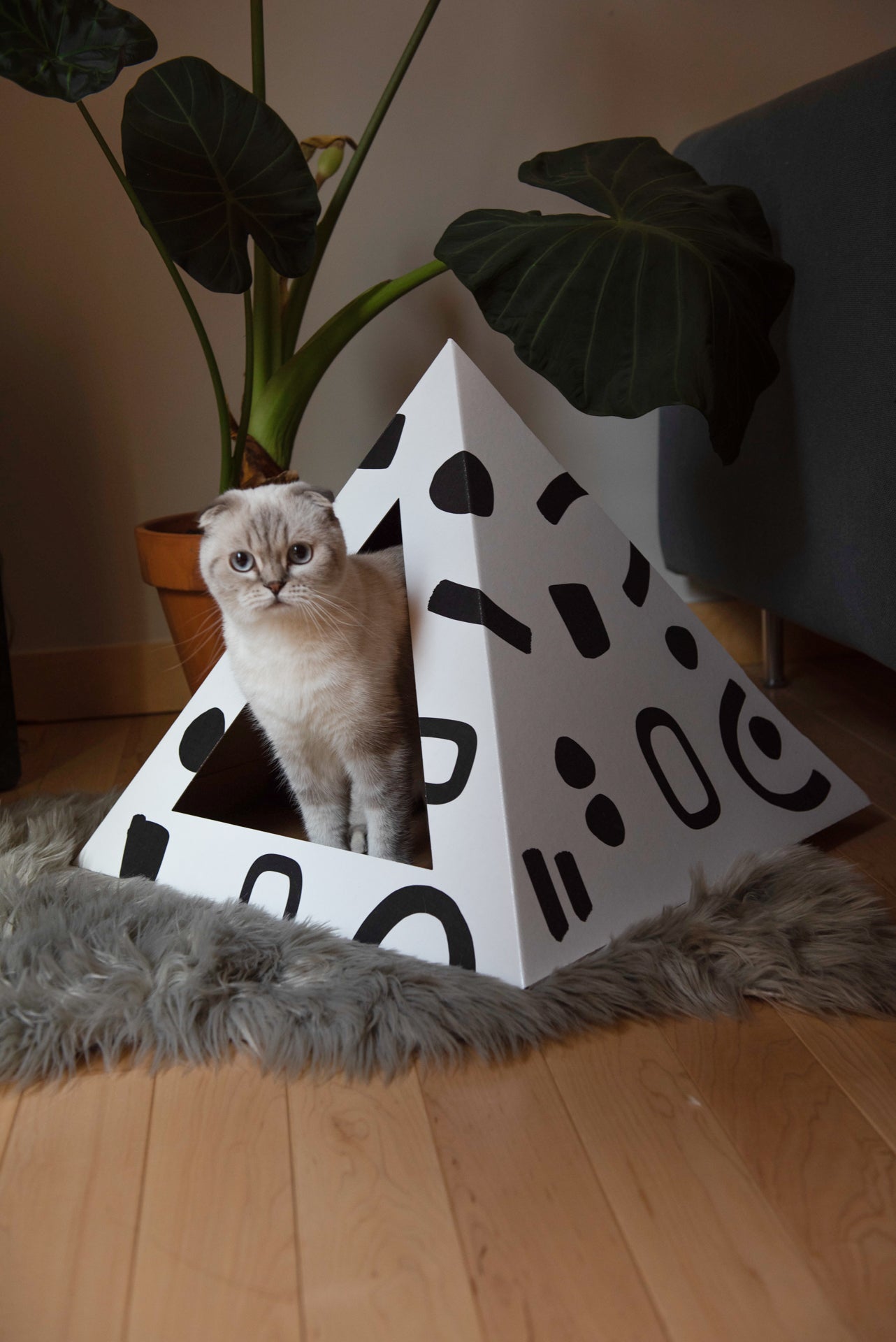 Kitty Kardboard 'Doodle' Cardboard Cat Pyramid