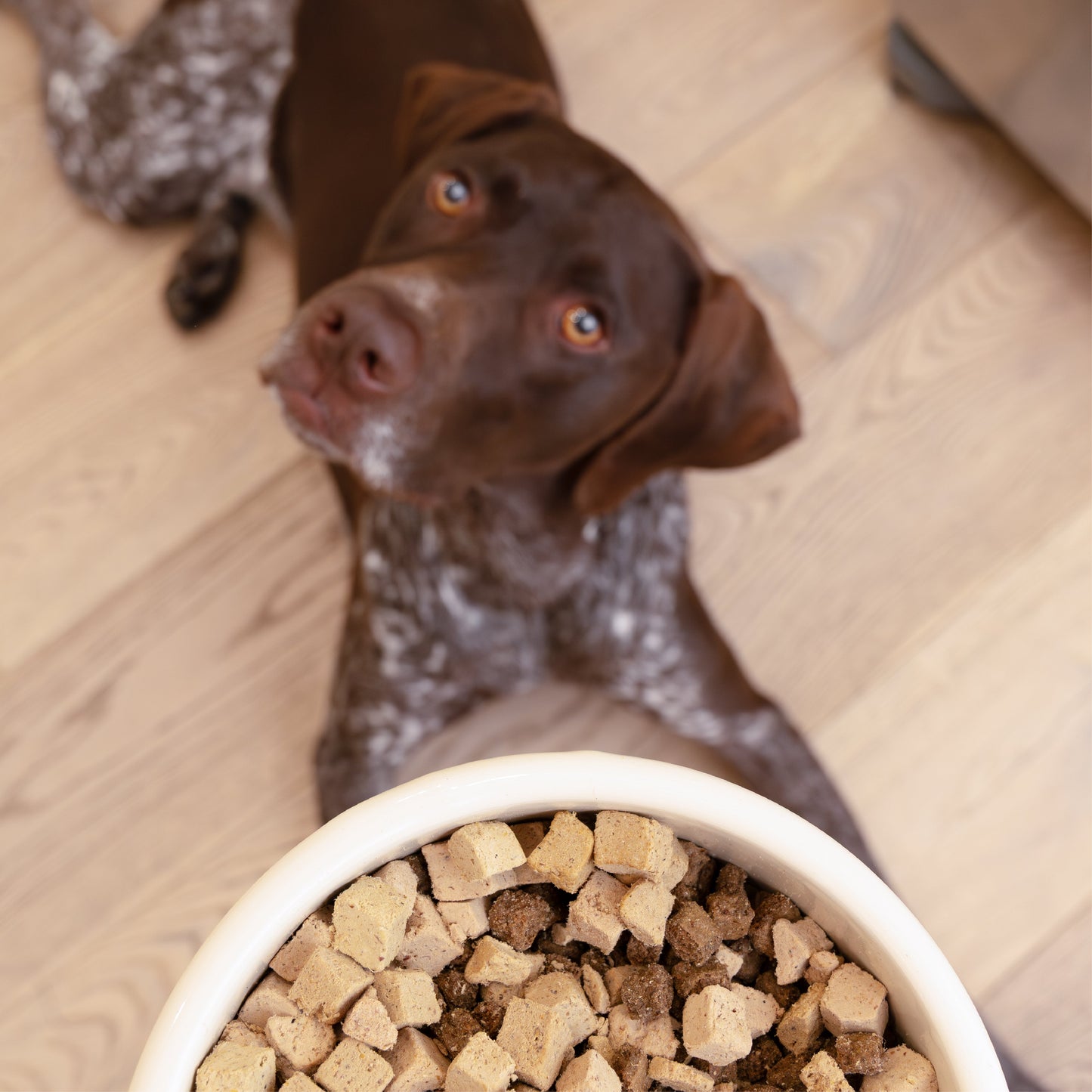 West Paw Rawbiotic Bites Trout & Beef Dog Food Topper