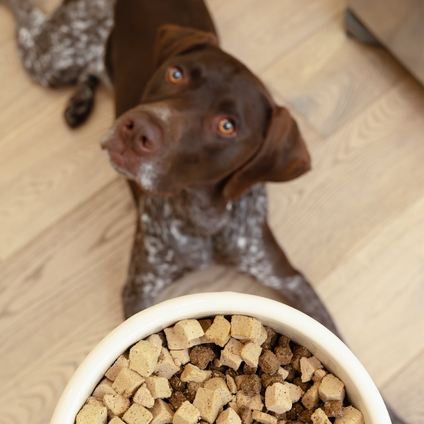 West Paw Rawbiotic Bites Chicken Dog Food Topper