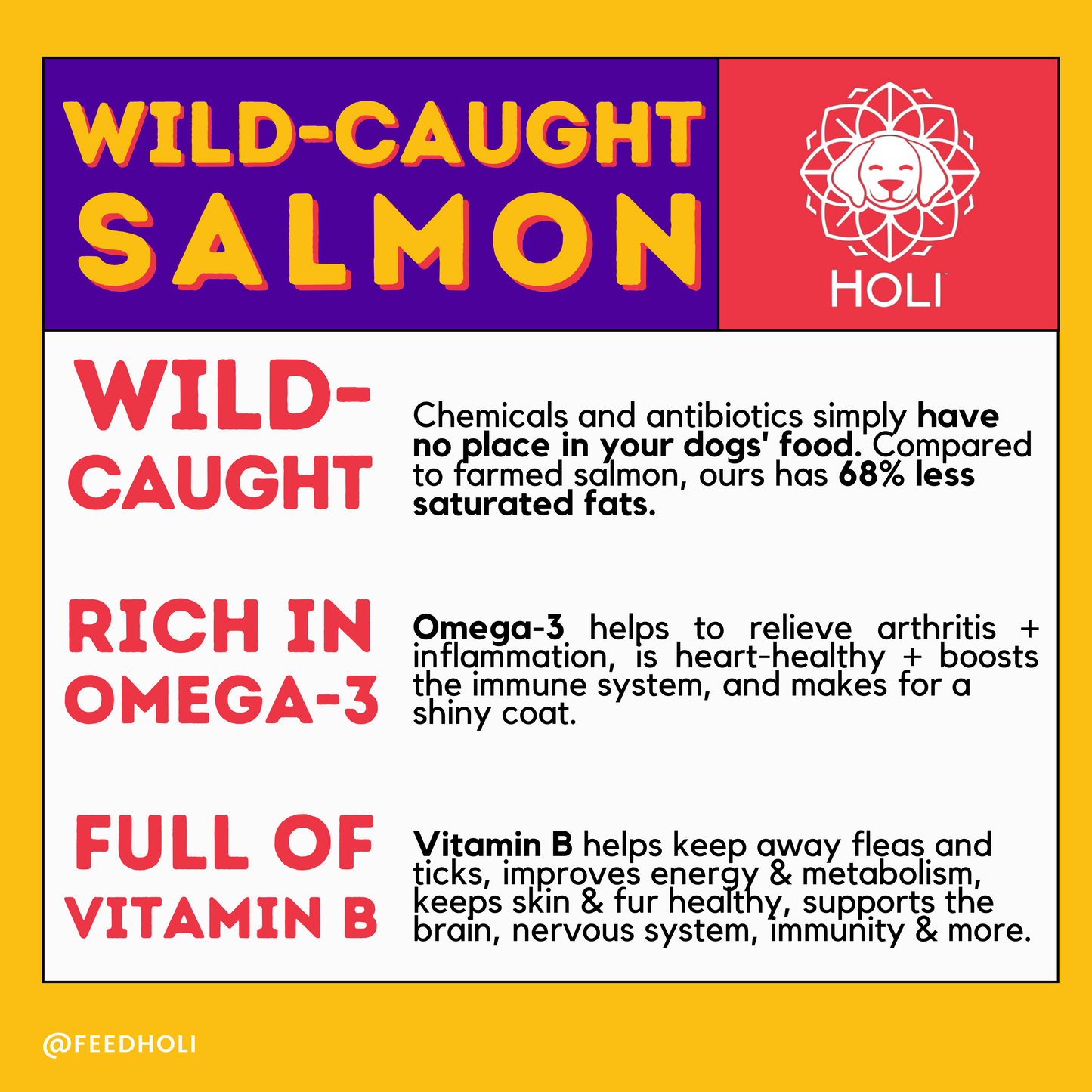 HOLI - Wild Caught Salmon Dog Food Topper - Freeze Dried - Single Ingredient