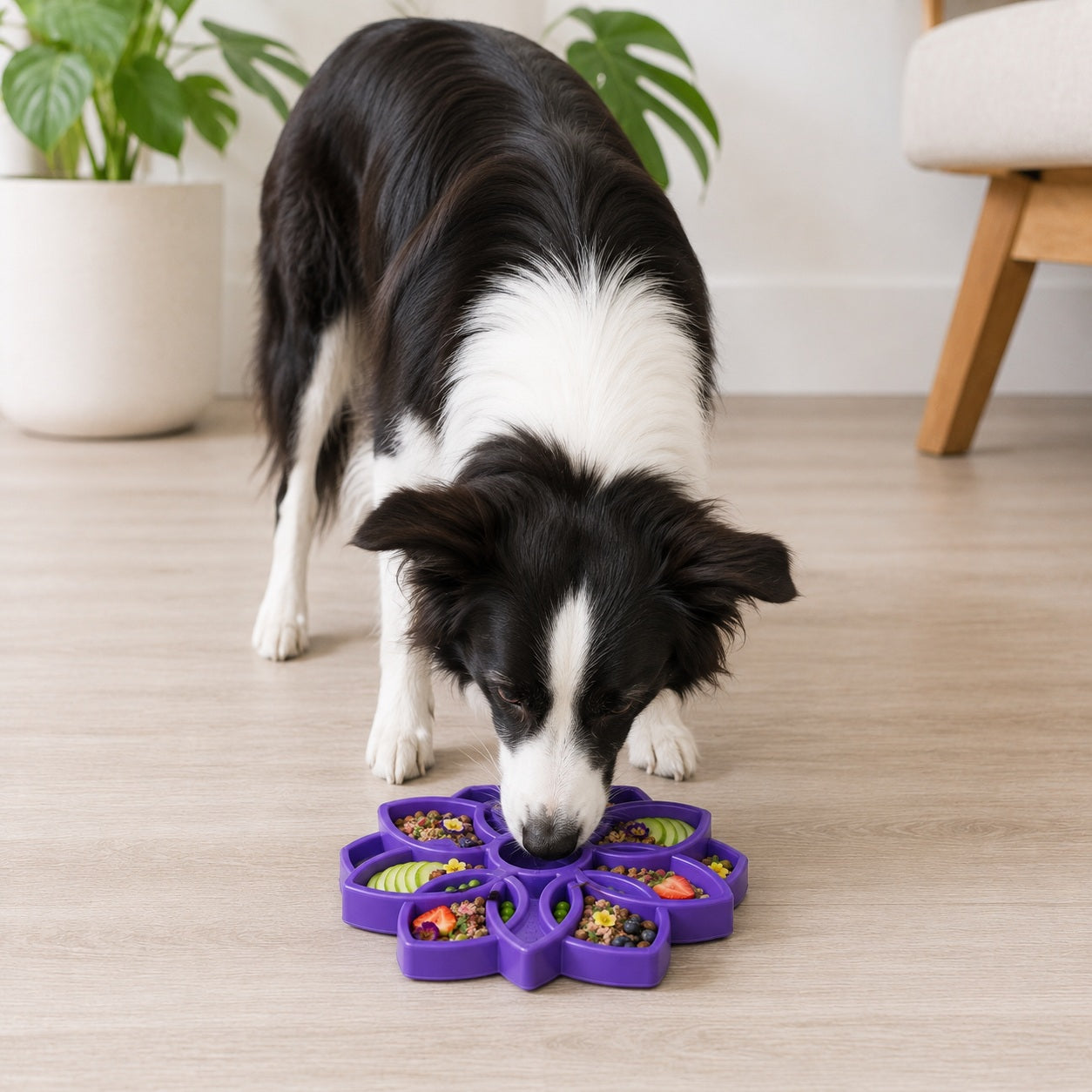 SodaPup Mandala eTray Shallow Slow Feeder Dog Bowl for Enrichment | USA Made