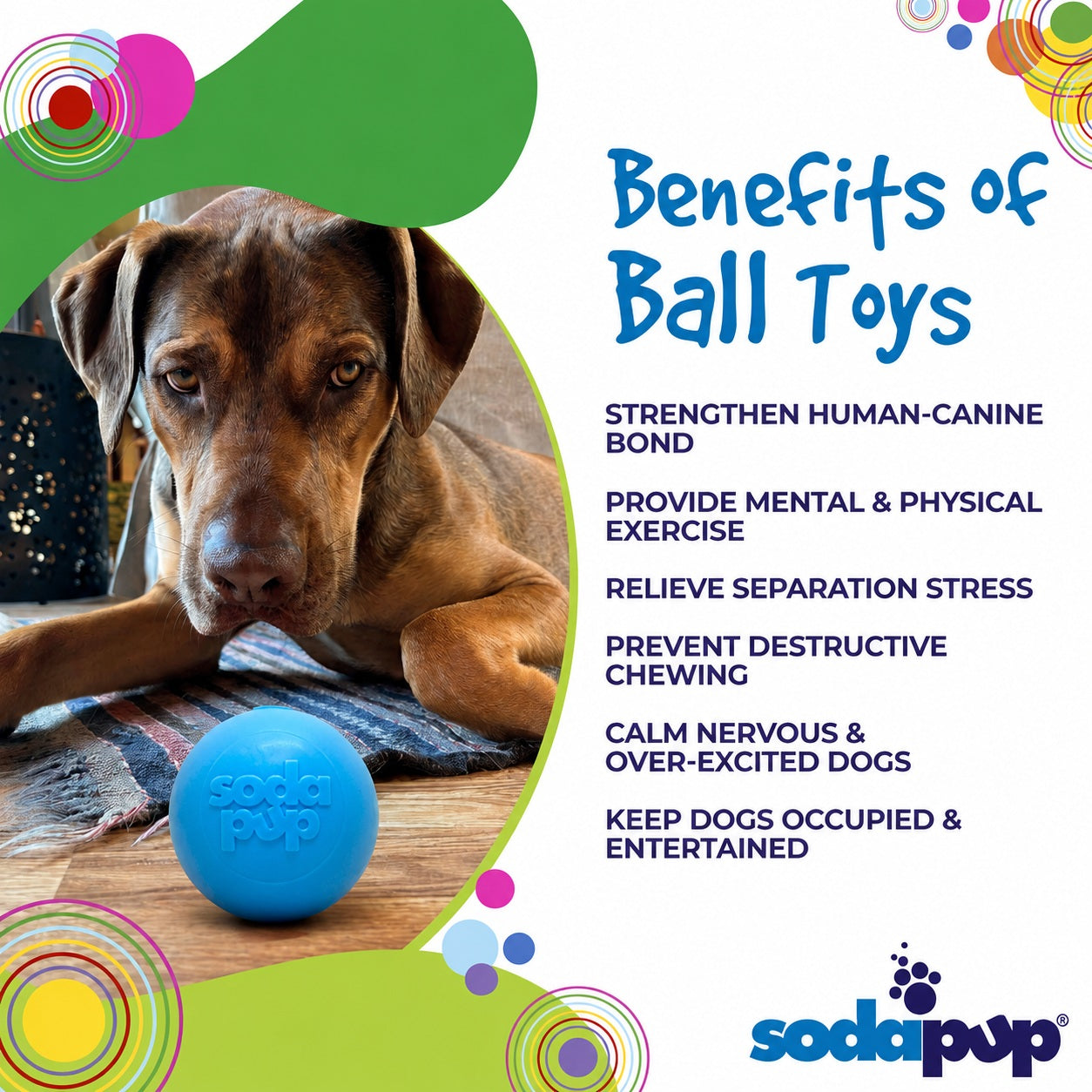 SodaPup Squeak Ball - Durable Squeaky Dog Toy, Floats, Chew Toy | USA Made