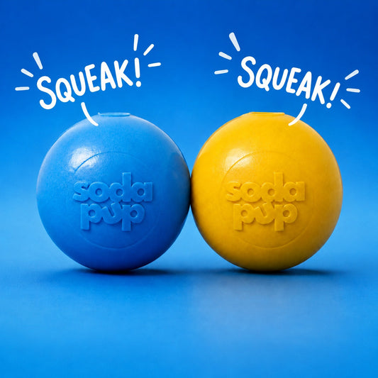 SodaPup Squeak Ball - Durable Squeaky Dog Toy, Floats, Chew Toy | USA Made