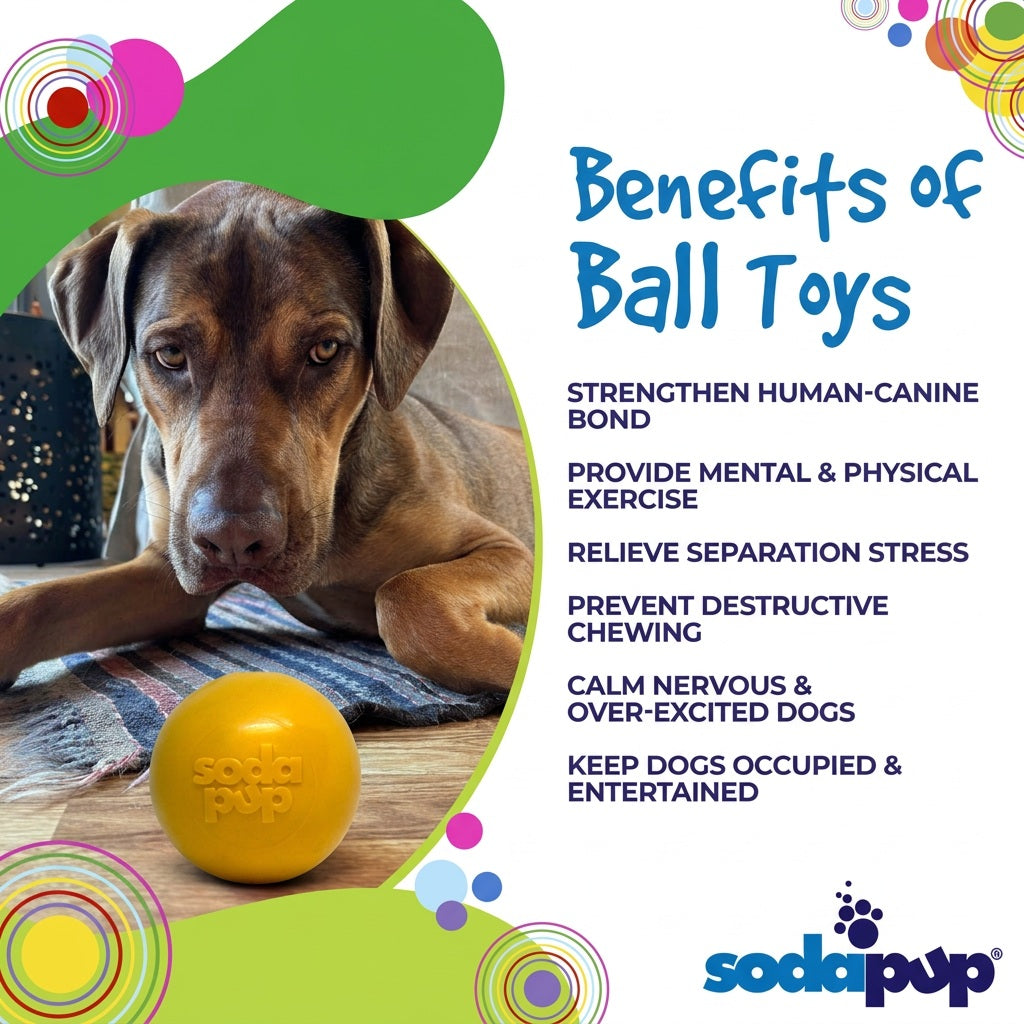 SodaPup Squeak Ball - Durable Squeaky Dog Toy, Floats, Chew Toy | USA Made