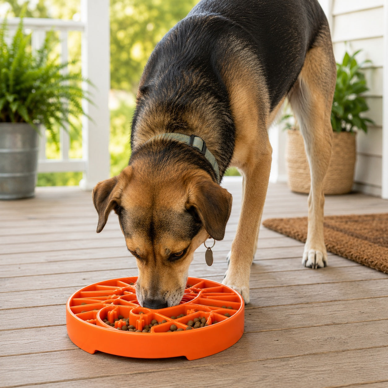 SodaPup Sun and Moon eTray - Shallow Slow Feeder Dog Bowl for Enrichment | USA Made