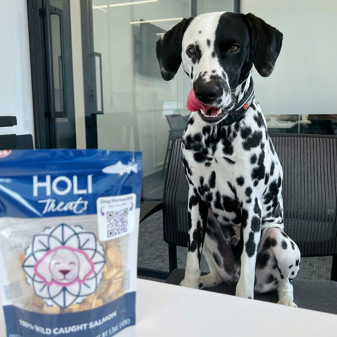 HOLI - Wild Caught Salmon Dog and Cat Treats