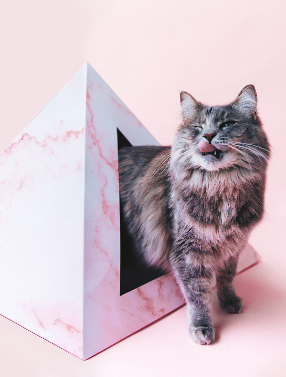 Kitty Kardboard 'Rose Quartz' Cardboard Cat Pyramid