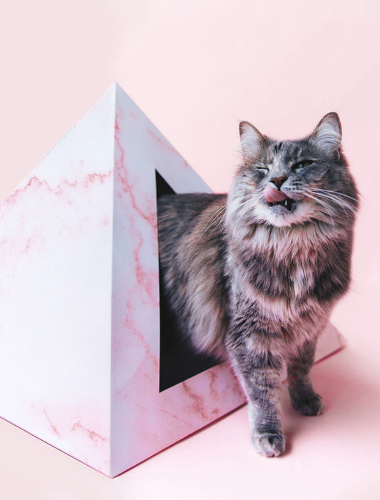 Kitty Kardboard 'Rose Quartz' Cardboard Cat Pyramid
