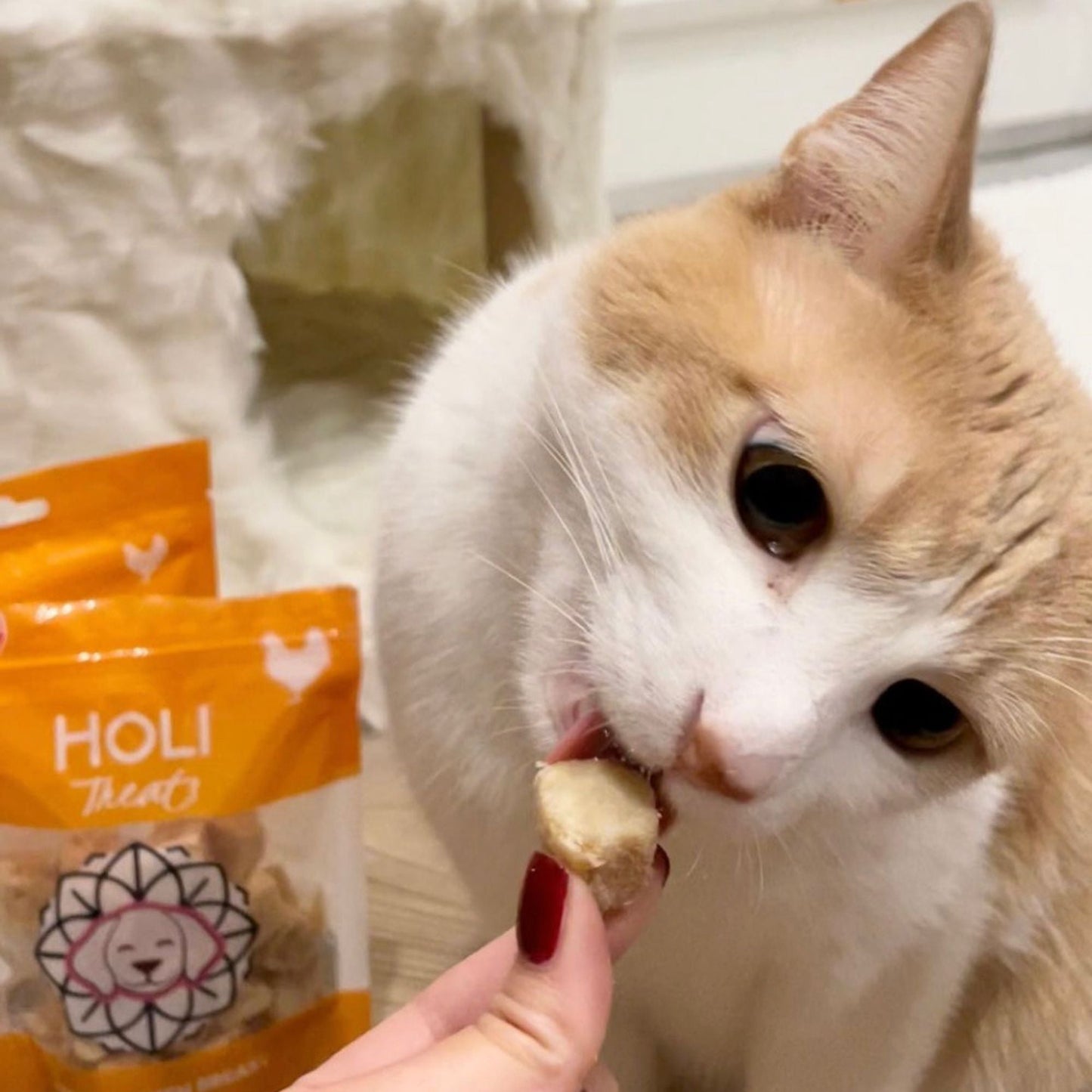 HOLI - Chicken Breast Dog and Cat Treats