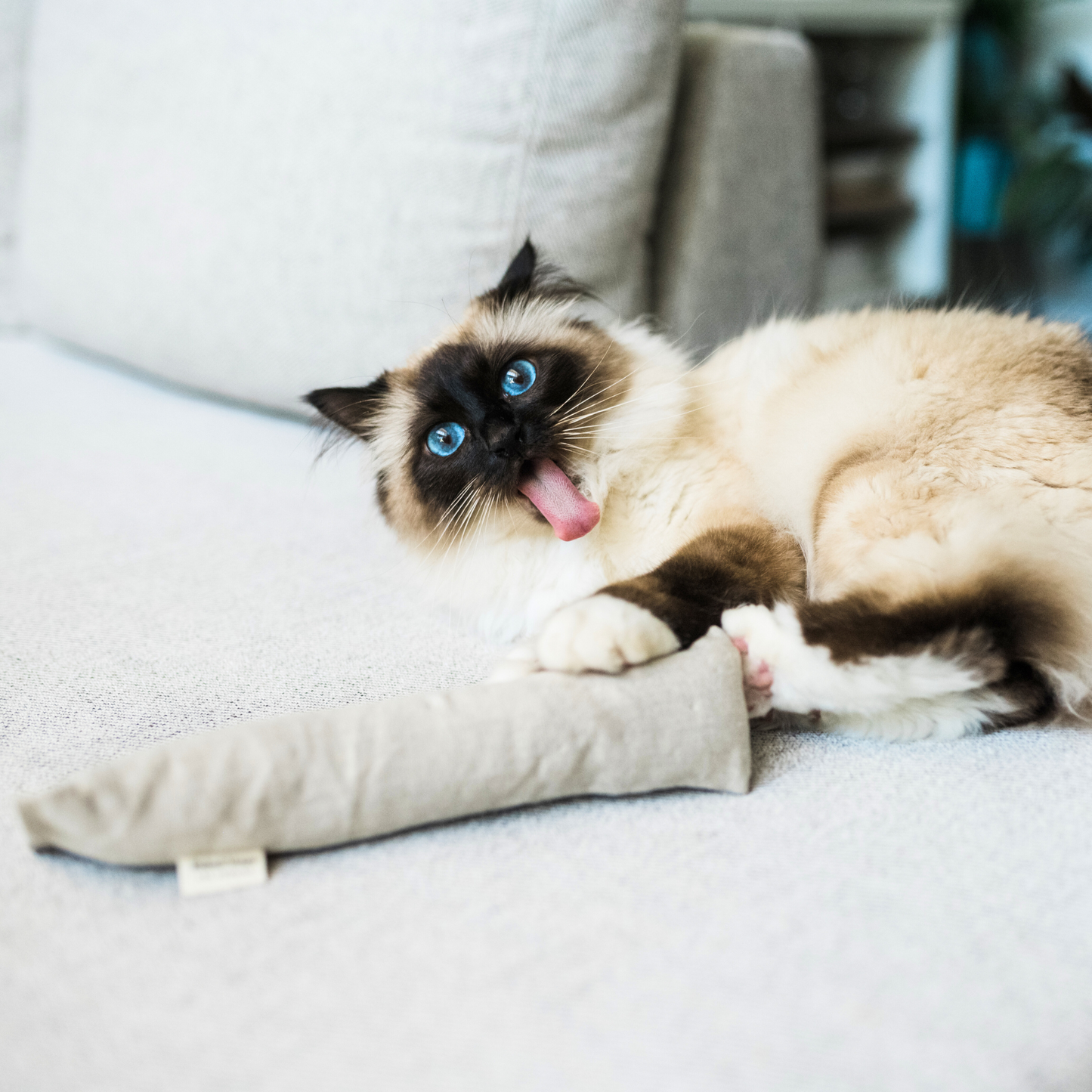 Boba & Vespa - Hemp & Cotton Cat Kicker Toy for Bunny Kicks | Boba & Vespa
