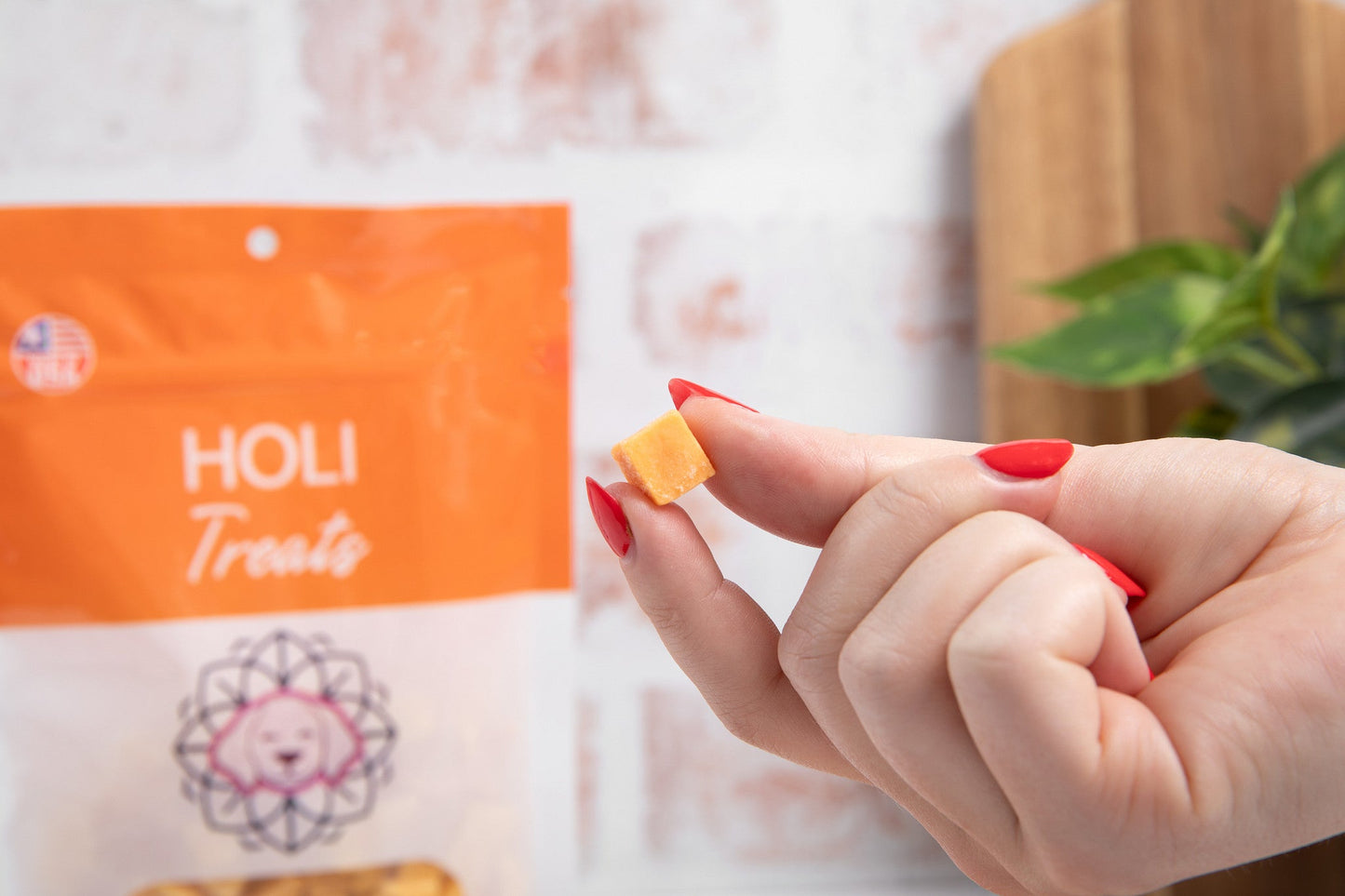 HOLI - Cheddar Cheese Dog and Cat Treats - Freeze Dried - Single Ingredient