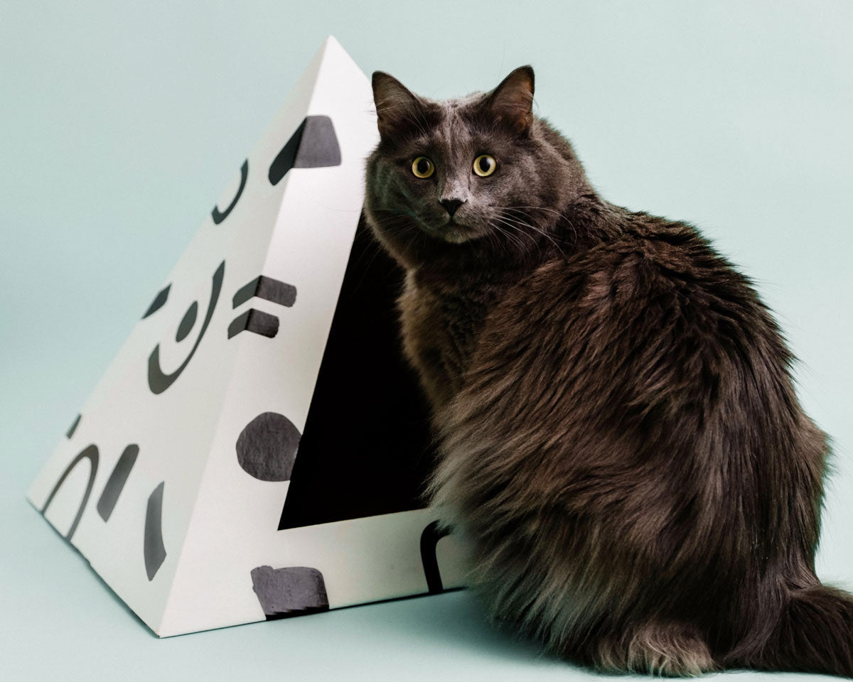 Kitty Kardboard 'Doodle' Cardboard Cat Pyramid