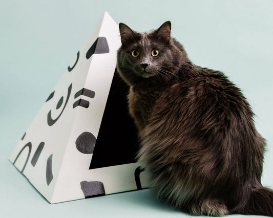 Kitty Kardboard 'Doodle' Cardboard Cat Pyramid
