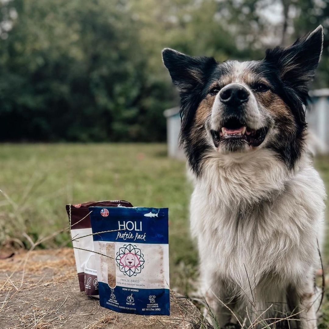 HOLI - Elk & Venison Dog and Cat Treats
