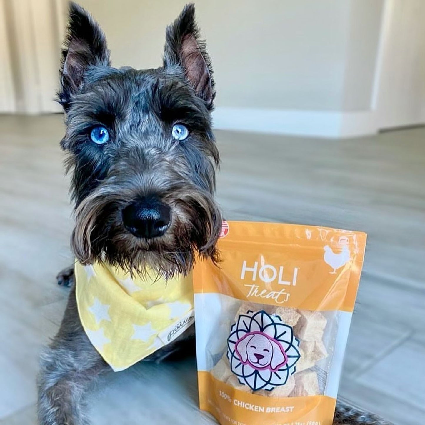 HOLI - Chicken Breast Dog and Cat Treats