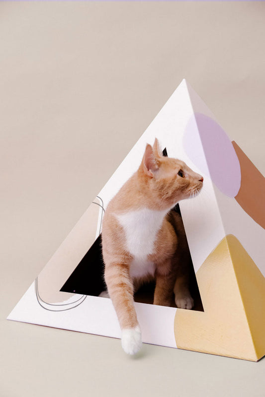 Kitty Kardboard 'Abstract' Cardboard Cat Pyramid