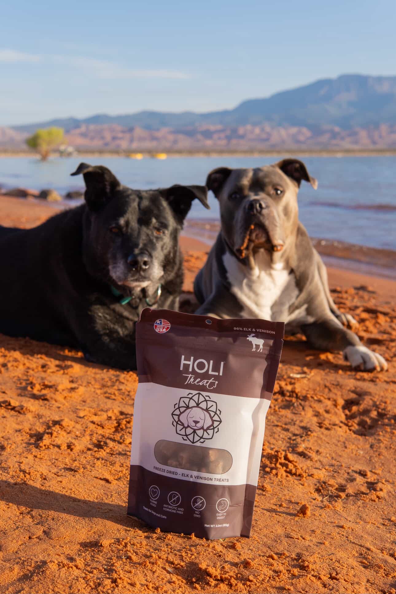 HOLI - Elk & Venison Dog and Cat Treats