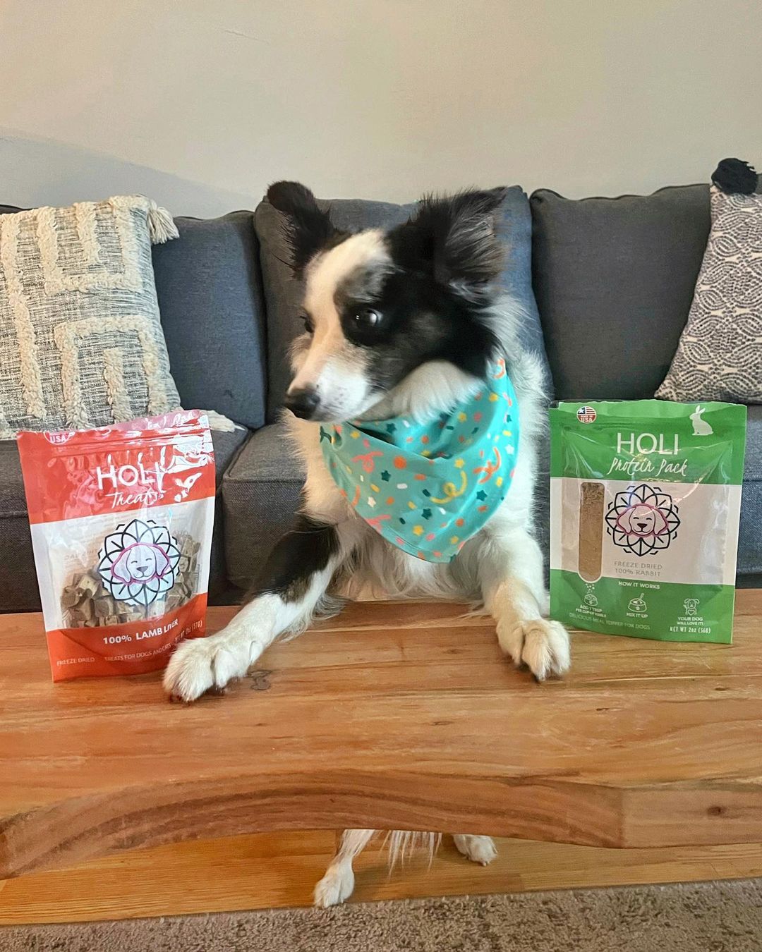 HOLI - Rabbit Dog Food Topper - Freeze Dried - Single Ingredient