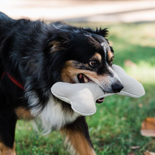Boba & Vespa - Plush Hemp Dog Toy Bone for Gentle Chewers | Boba & Vespa